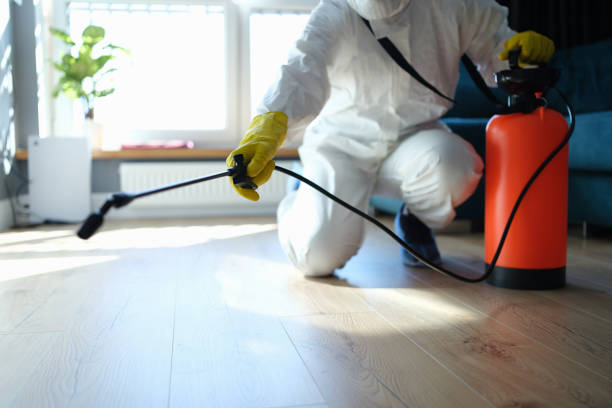 Trusted Sewage Cleanup service in Carrollton, OH - Four Month Blood Cleanse